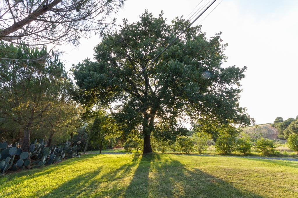 Agriturismo Cupido Монтияно Экстерьер фото